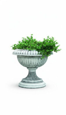 Vaso per piante, vaso da fiori, decorazione, figura, vasi da fiori, giardino, natura, vasi.