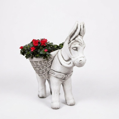Vaso da fiori, vaso per piantare, decorazione naturale, scultura, vasi da giardino, vasi