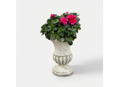 Vaso di fiori naturale, contenitore per piante, decorazione, figura, vasi da giardino, vasi