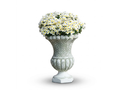 Vaso per fiori, contenitore, vaso da fiori, decorazione, statua, vasi per piante da giardino.