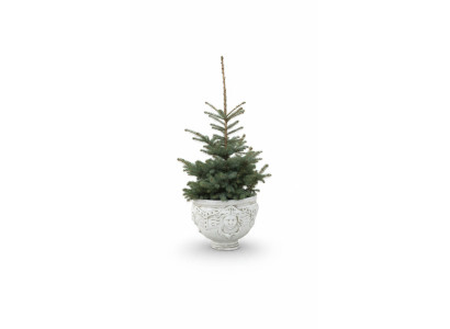 Vaso per piante decorazione figura vaso da giardino vasi natura