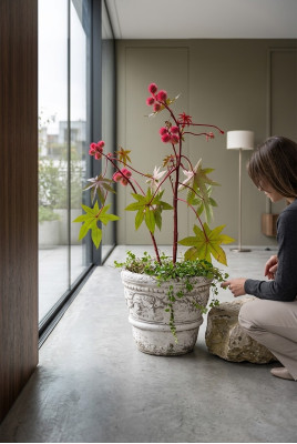 Vaso da fiore, vaso da pianta, decorazione, natura, figura, vasi per fiori, giardino