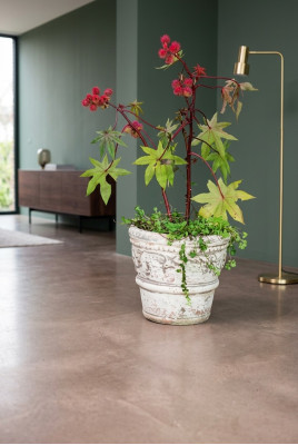 Vaso da fiore, vaso da pianta, decorazione, natura, figura, vasi per fiori, giardino