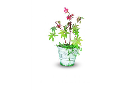 Vaso da fiore, vaso da pianta, decorazione, natura, figura, vasi per fiori, giardino