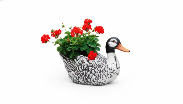 Vaso con fiori pianta naturale decorazione figura fioriere vasi giardino