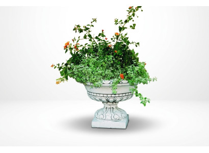 Natura Vaso per fiori Vaso da piantare Decorazione Statua Vasi da fiori Vasi Giardino