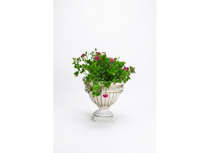 Vasi da fiori piantano natura decorazione figure vasi fioriere giardino