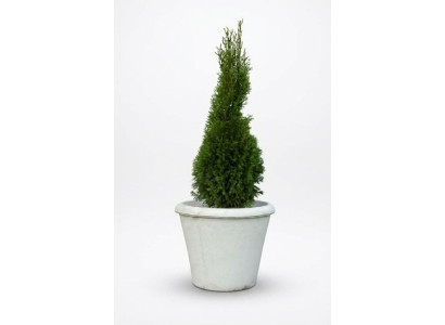 Vaso per piante, vaso per piante, decorazione, figura, vasi da giardino, vasi per fiori, natura.