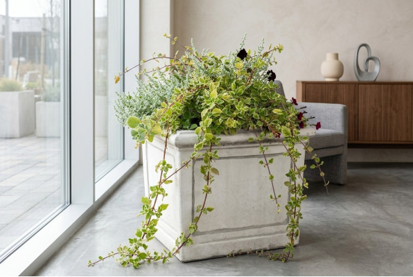 Vaso da fiori, vaso da pianta, decorazione, figura, vasi, giardino, natura, vasi per fiori.