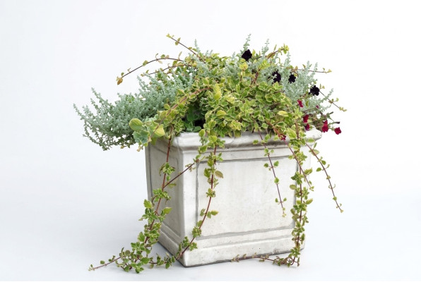 Vaso da fiori, vaso da pianta, decorazione, figura, vasi, giardino, natura, vasi per fiori.