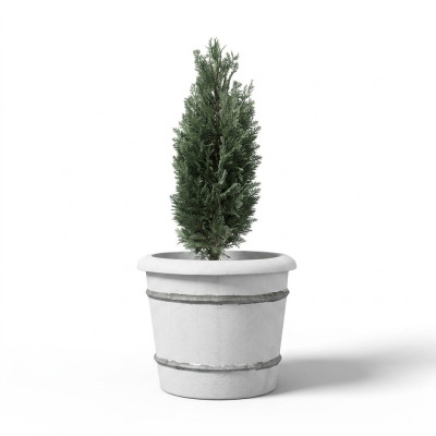 Fioriera Pianta Contenitore Decorazione Statua Vasi Natura Giardino Vasi per Piante