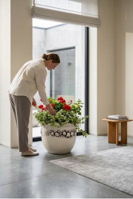 Vaso da fiori, vaso da pianta, decorazione, figura, natura, vaso, giardino, vasi per fiori.