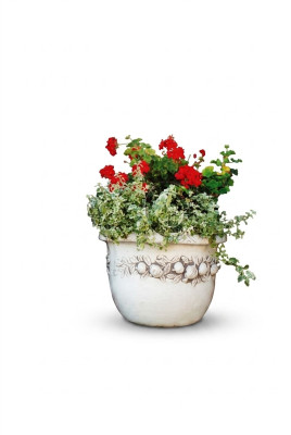 Vaso da fiori, vaso da pianta, decorazione, figura, natura, vaso, giardino, vasi per fiori.