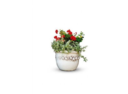 Vaso da fiori, vaso da pianta, decorazione, figura, natura, vaso, giardino, vasi per fiori.