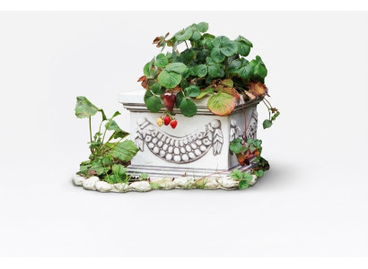 Vaso per piante, naturale, decorazione a figura, vasi da giardino, fioriere.