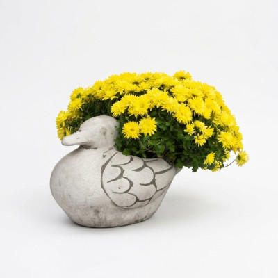Vaso per fiori naturale da giardino, decorazione a forma di figura in vasi di fiori da giardino.