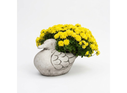 Vaso per fiori naturale da giardino, decorazione a forma di figura in vasi di fiori da giardino.