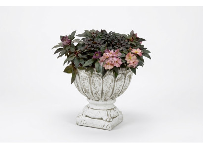 Figura Vaso per fiori Pianta Bianco Contenitore Decorazione Figura Vasi da fiore Giardino