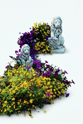 Decorazione del giardino Statua di leone Sculture Sculture Designer