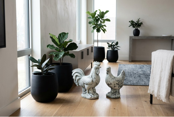 Decorazione da giardino, pollo, terrazza, statue in pietra, figura bianca, statua decorativa.