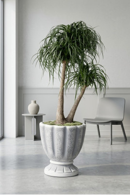 Vasi per fiori, scatola, vaso, fiori, vasi decorativi XXL in cemento per giardino e terrazza.