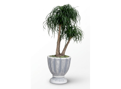 Vasi per fiori, scatola, vaso, fiori, vasi decorativi XXL in cemento per giardino e terrazza.