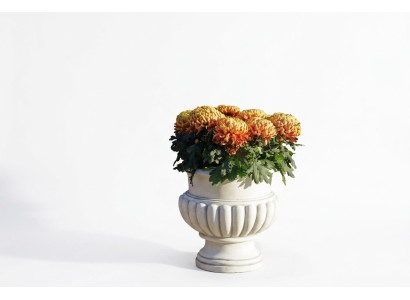 Vasi da fiori Decorativo Box Pianta Fioriere XXL Ciotola Giardino Terrazza