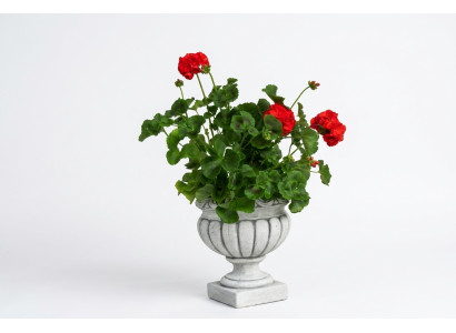 Disegno vaso da fiori Top Planz Ciotola decorativa Contenitore Vasi Statua Faccia