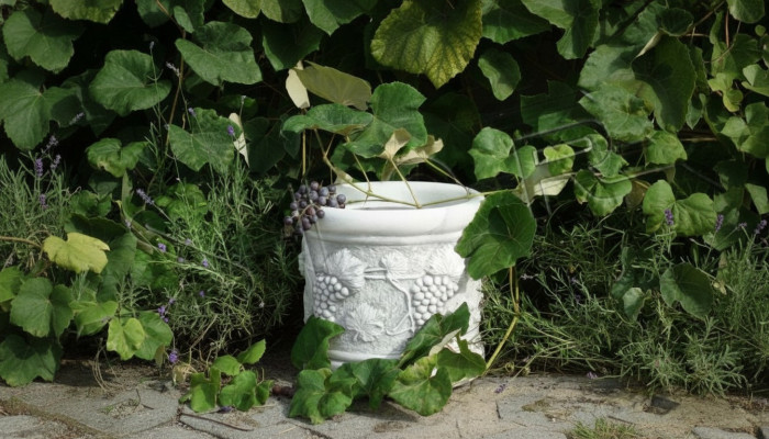 Vaso per fiori Scatola per fiori Giardino Pietra Decorazione Decorazione Stile antico Fiori