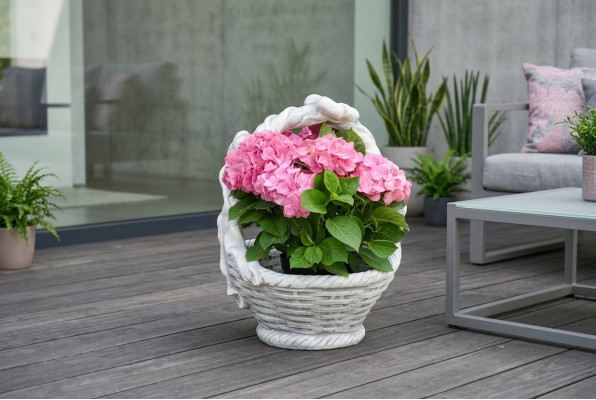 Vaso per piante, vaso da giardino decorativo con figure naturali, vasi per fiori