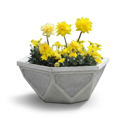Vaso da fiori pianta naturale decorazione da giardino vaso statue vasi fioriere