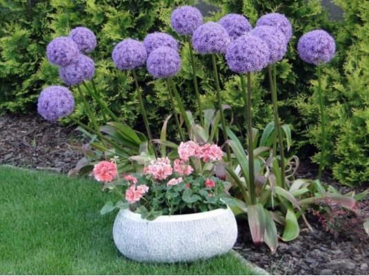 Vaso di fiori naturale da giardino, vaso da pianta decorativo, vasi da giardino, figure di vasi e fioriere.