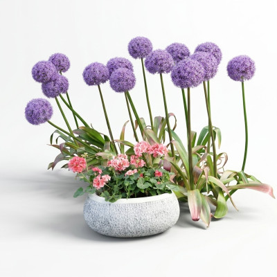 Vaso di fiori naturale da giardino, vaso da pianta decorativo, vasi da giardino, figure di vasi e fioriere.