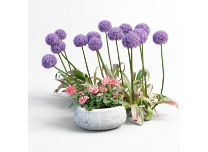 Vaso di fiori naturale da giardino, vaso da pianta decorativo, vasi da giardino, figure di vasi e fioriere.