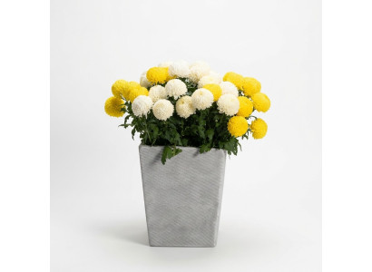 Vaso da fiori, vaso da pianta, decorazione, vasi da giardino, figura naturale, vasi per fiori.