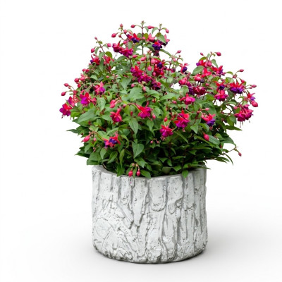 Vasi per piante da giardino in vaso naturale decorazione vasi da giardino statua fioriere