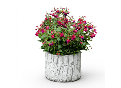 Vasi per piante da giardino in vaso naturale decorazione vasi da giardino statua fioriere
