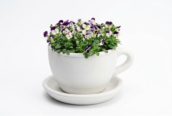 Vaso per piante Secchiello per piante Decorazione naturale Vasi Figure Giardino Vasi per fiori