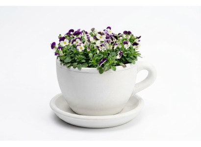Vaso per piante Secchiello per piante Decorazione naturale Vasi Figure Giardino Vasi per fiori