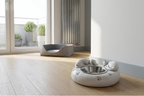 Fontana per gatti contenitore per bere cliente recipiente per acqua.