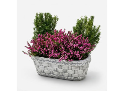 Vasi da fiori decorativi per piante naturali da giardino.