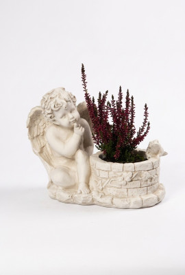Scatola di fiori, vaso per piante, contenitore per piante, decorazione per tombe, giardino, decorazione, statua, pietra.