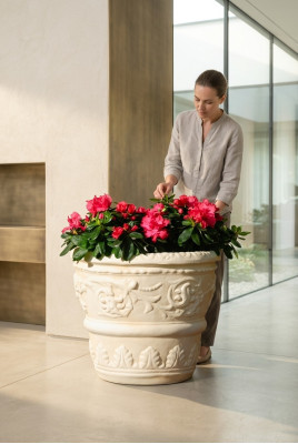 Cestino per fiori, vaso per fiori, contenitore, decorazione da giardino, statua, figure, scatola, terrazza.