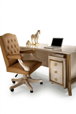 Sedia da ufficio poltrona da ufficio poltrona da ufficio sedia poltrona pelle capo barocco rococò designer