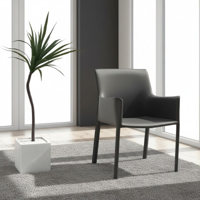 Design sedie imbottite per sala da pranzo, club, cucina, lounge e mobili per la casa. Sedia poltrona.