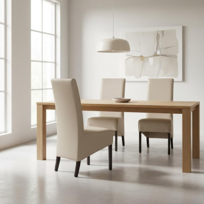 Set di poltrone da design 2x poltrona sedie in legno sedie da pranzo Gastro Nuove