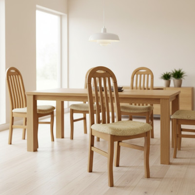 Sedie 10x Set Sedie in legno massiccio imbottite per sala da pranzo Sedia con schienale