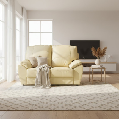 Divano 2 posti Design divani Imbottitura moderni Divani in pelle Relax in pelle