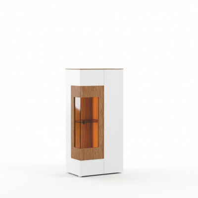 Vetrina moderna in vetro Armadio Vetrina Vetrina Vetrina a una porta - Design Vetrine nuove