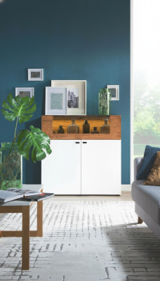 Mobile in rovere, vetrina in rovere, mobiletti vetrina, vetrine, armadio a cassetti, armadio design.